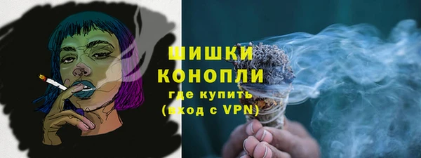 крисы Горняк