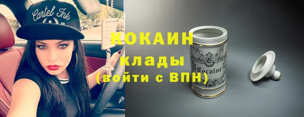 мет Дмитров