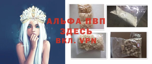 крисы Горняк