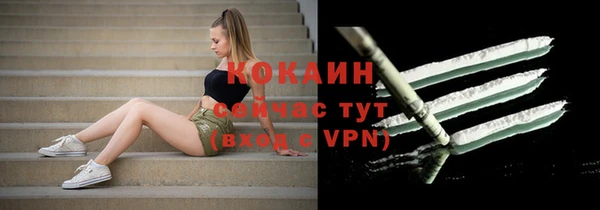 мет Дмитров