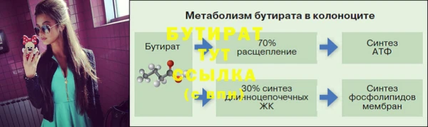 крисы Горняк