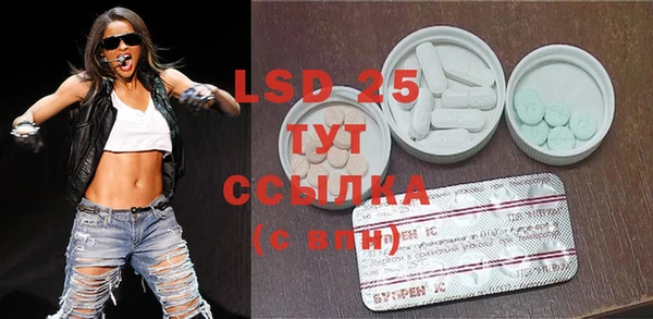 крисы Горняк