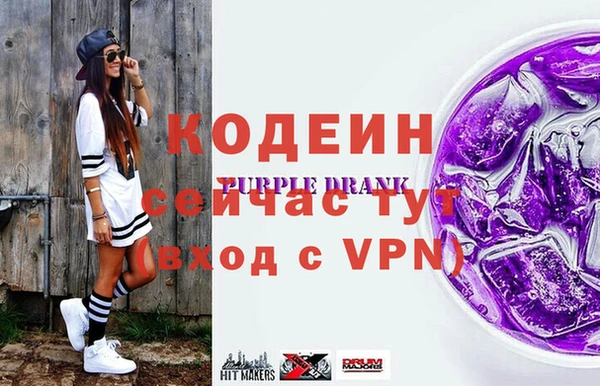 крисы Горняк